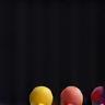 findopeneggs Logo Footer